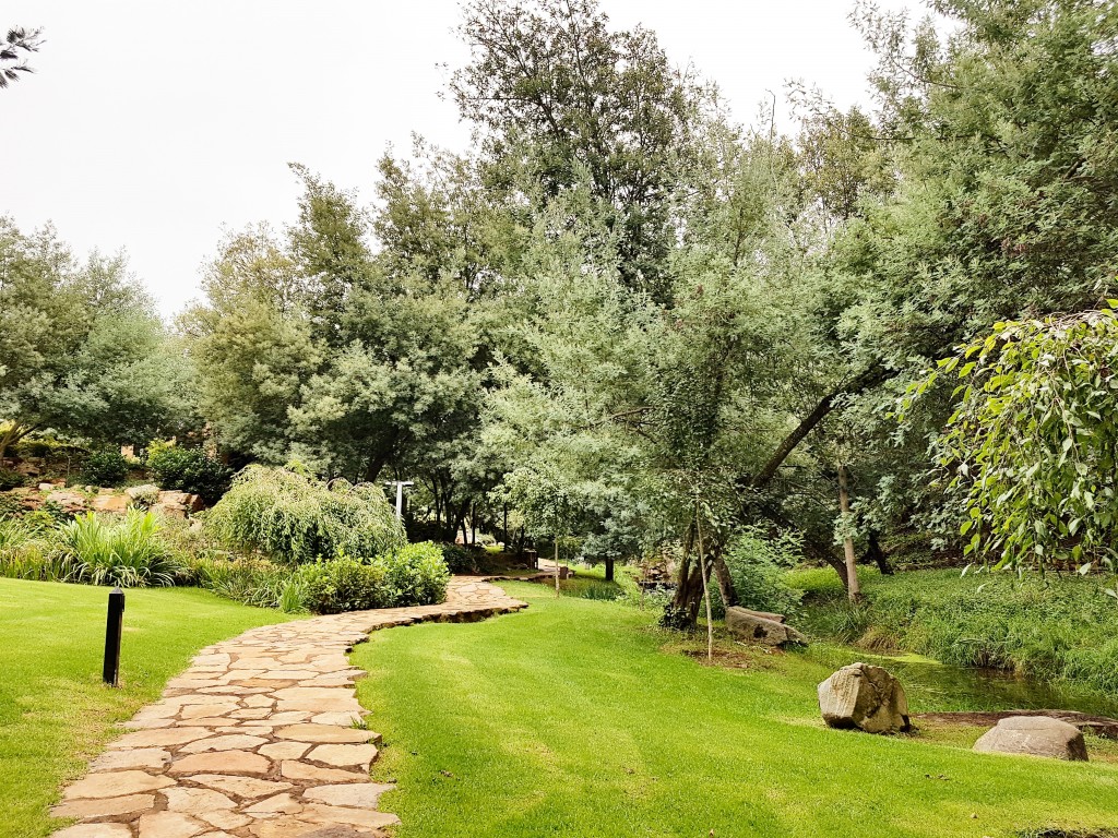 IMG_20180403_120845_482