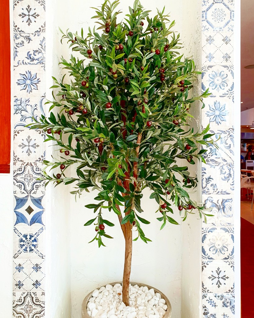 Plaka Cresta: New Look Plaka Cresta: Greek Restaurant