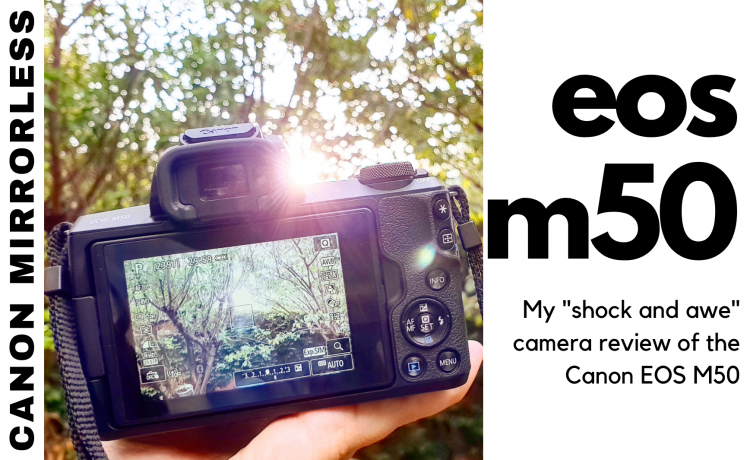 Canon M50 Camera Review